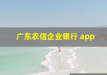 广东农信企业银行 app